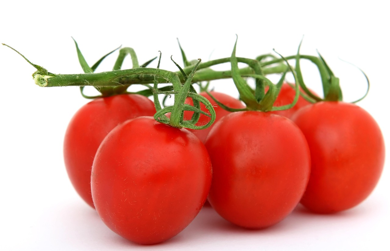 Cellular Blueprint: B12 Foods For Myelin And Mood.