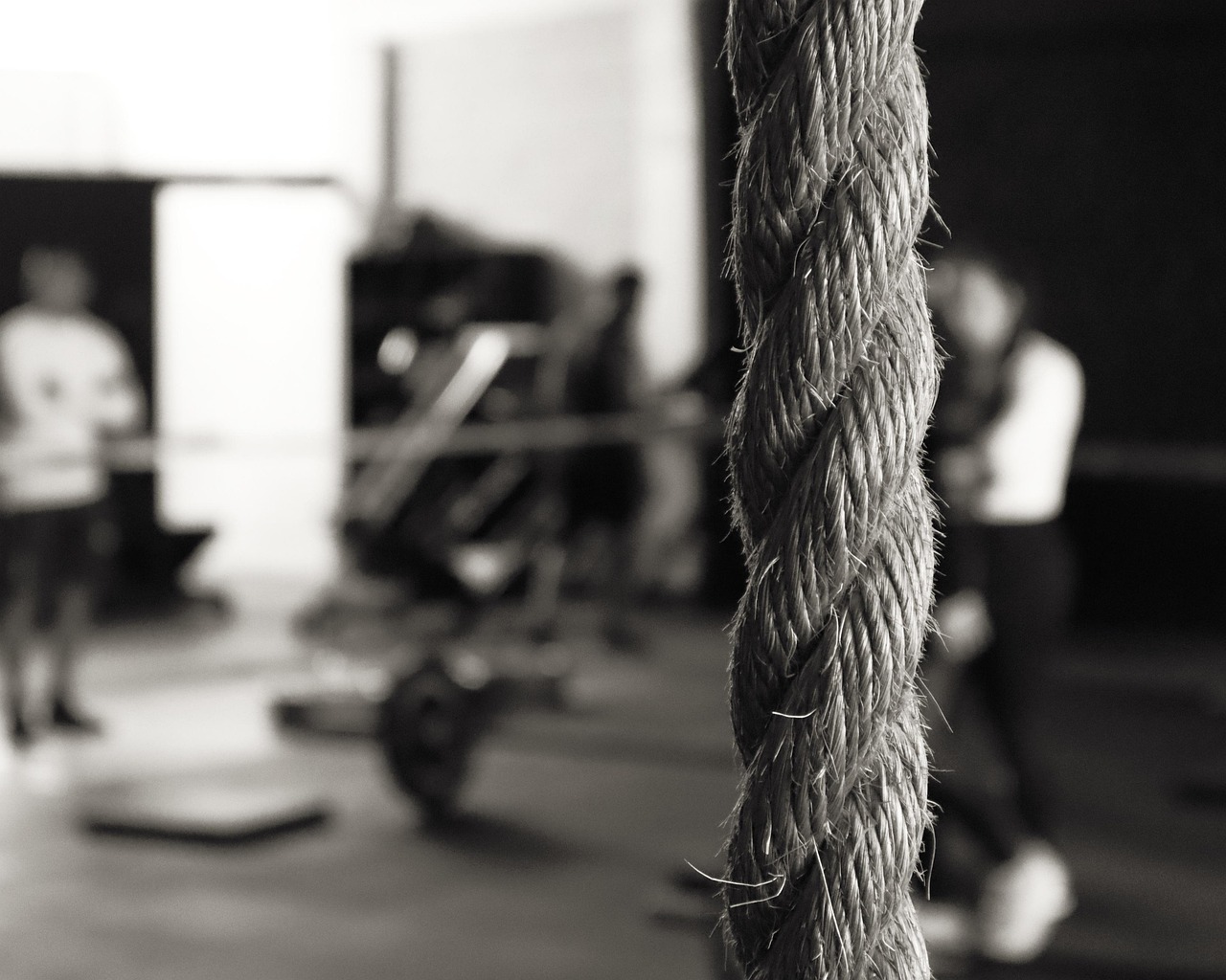 The Empathy Edge: Group Support For Weight Resilience